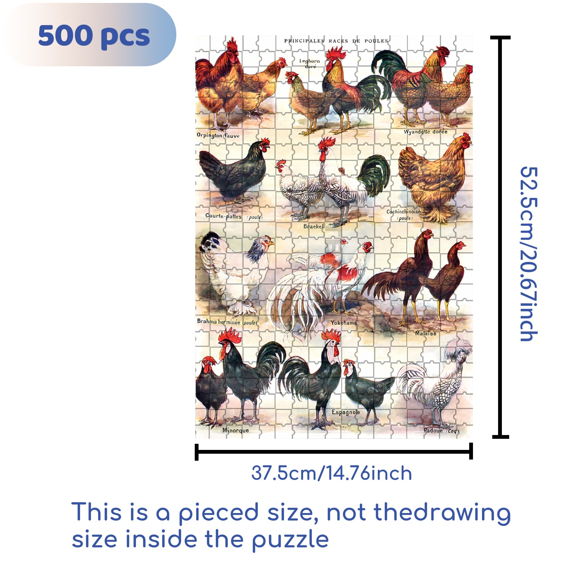 Chook 500pcs/1000pcs Jigsaw Puzzle, Scratch-Resistant, Interactive Family Game & Brain-Boosting DIY Decor, Perfect for Halloween, Christmas & New Year Gifts, Family Puzzle Game