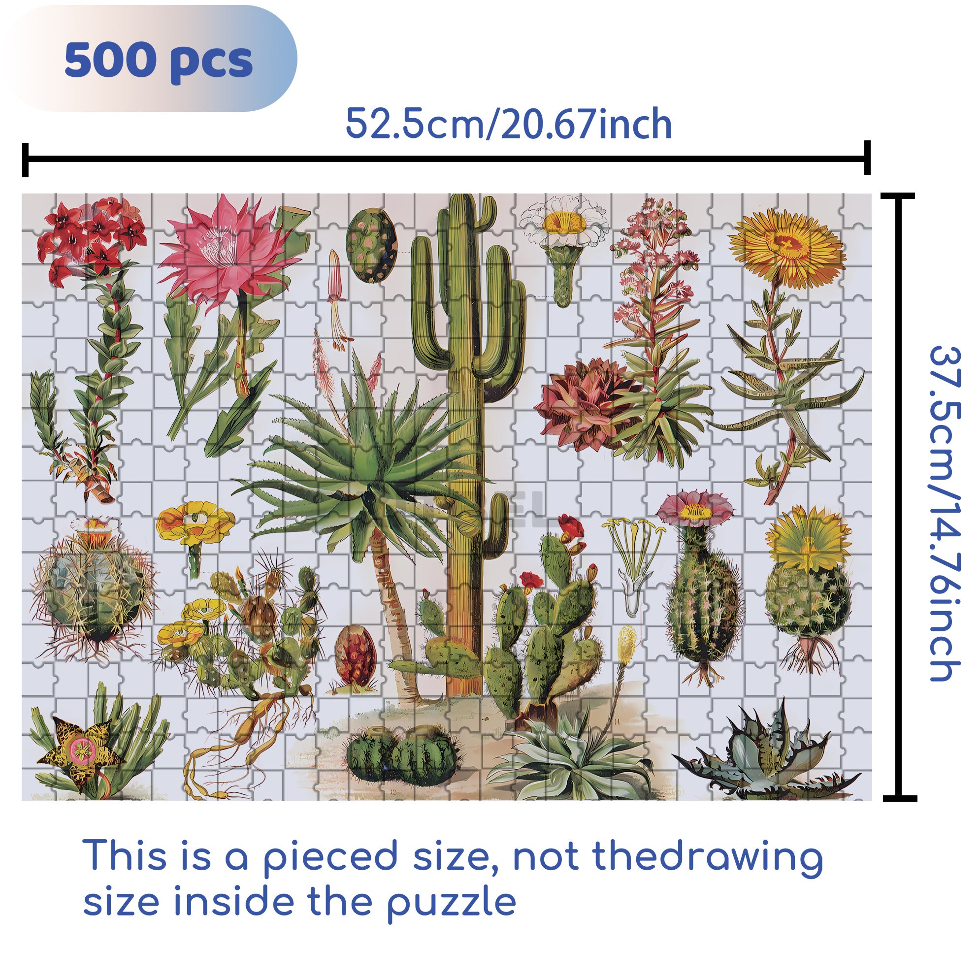 All Kinds Of Cacti 500pcs/1000pcs Jigsaw Puzzle, Scratch-Resistant, Interactive Family Game & Brain-Boosting DIY Decor, Perfect for Halloween, Christmas & New Year Gifts, Family Puzzle Game
