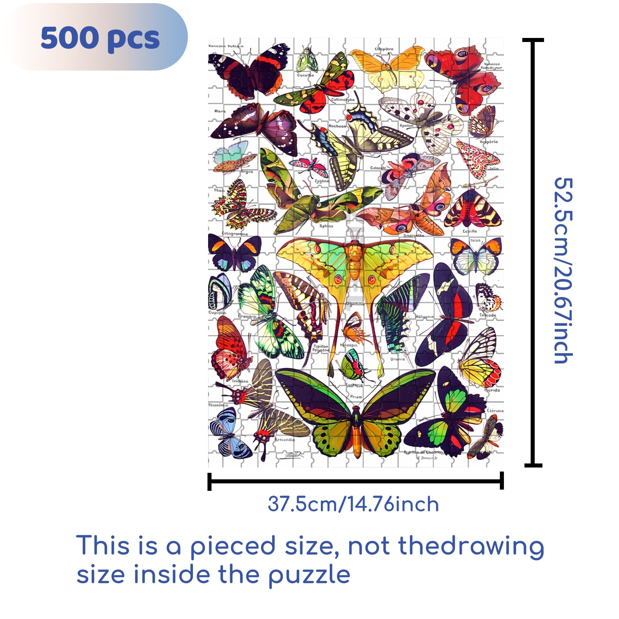 All Kinds Of Butterflies 500pcs/1000pcs Jigsaw Puzzle, Scratch-Resistant, Interactive Family Game & Brain-Boosting DIY Decor, Perfect for Halloween, Christmas & New Year Gifts, Family Puzzle Game