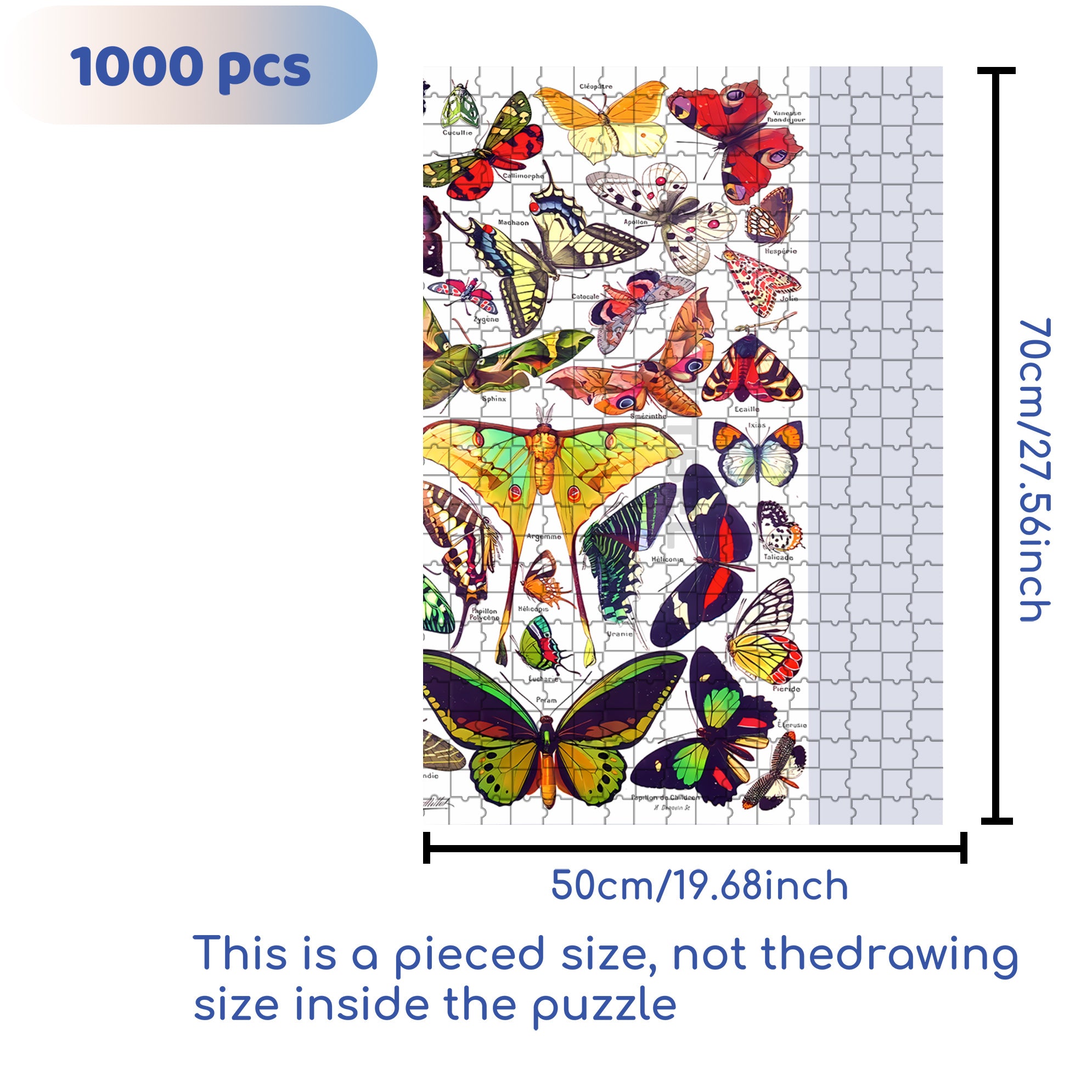 All Kinds Of Butterflies 500pcs/1000pcs Jigsaw Puzzle, Scratch-Resistant, Interactive Family Game & Brain-Boosting DIY Decor, Perfect for Halloween, Christmas & New Year Gifts, Family Puzzle Game