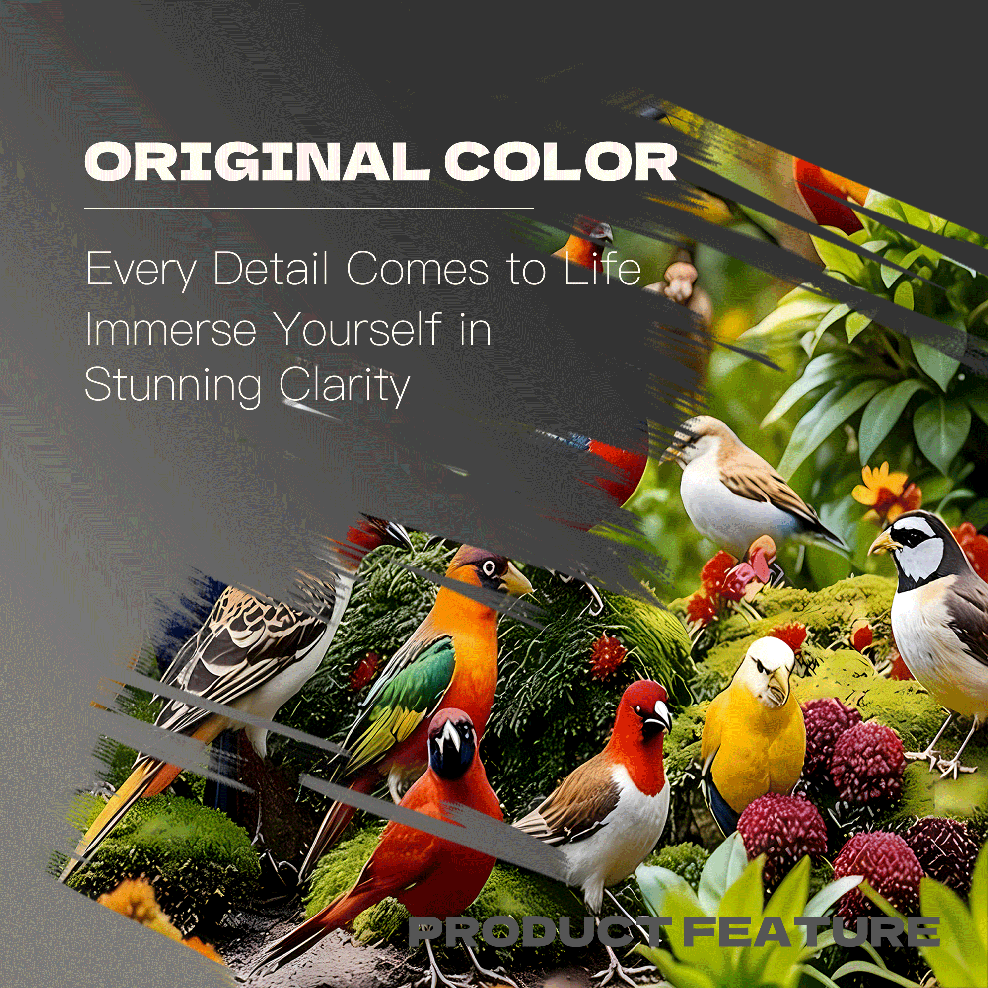 A Bird With Dazzling Colors 500pcs/1000pcs Jigsaw Puzzle, Scratch-Resistant, Interactive Family Game & Brain-Boosting DIY Decor, Perfect for Halloween, Christmas & New Year Gifts, Family Puzzle Game