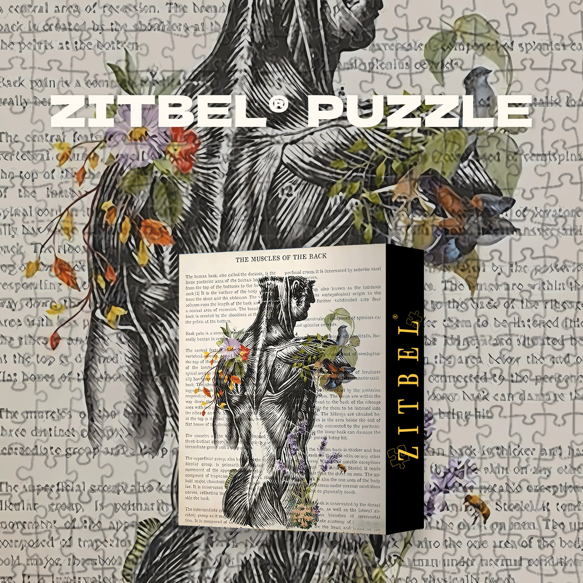 Back Muscles Anatomy 500pcs/1000pcs Jigsaw Puzzle, Scratch-Resistant, Interactive Family Game & Brain-Boosting DIY Decor, Perfect for Halloween, Christmas & New Year Gifts, Family Puzzle Game