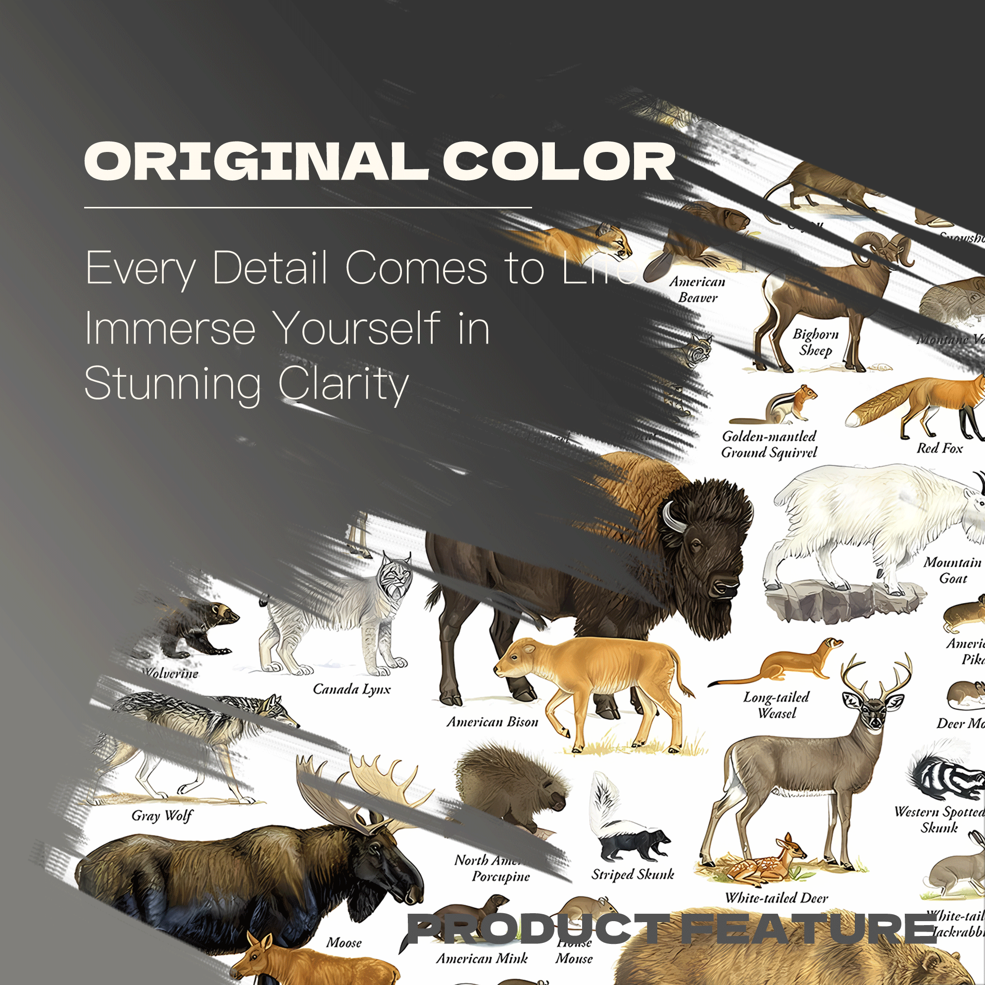 Mammals of Yellowstone National Park 500pcs/1000pcs Jigsaw Puzzle, Scratch-Resistant, Interactive Family Game & Brain-Boosting DIY Decor, Perfect for Halloween, Christmas & New Year Gifts, Family Puzzle Game