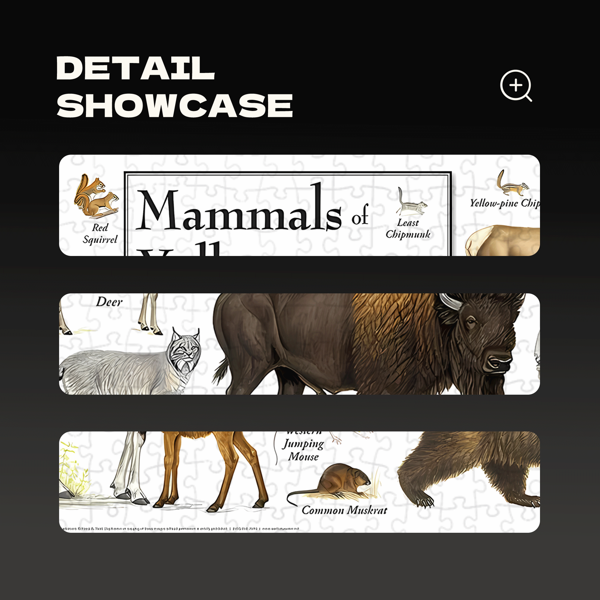 Mammals of Yellowstone National Park 500pcs/1000pcs Jigsaw Puzzle, Scratch-Resistant, Interactive Family Game & Brain-Boosting DIY Decor, Perfect for Halloween, Christmas & New Year Gifts, Family Puzzle Game