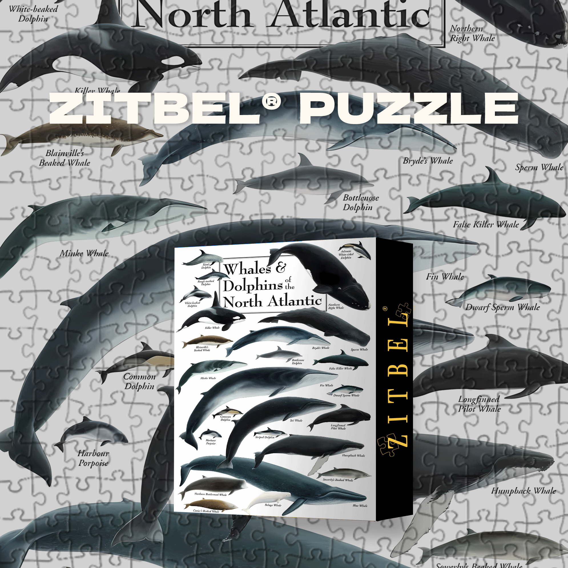 Whales & Dolphins of the North Atlantic 500pcs/1000pcs Jigsaw Puzzle, Scratch-Resistant, Interactive Family Game & Brain-Boosting DIY Decor, Perfect for Halloween, Christmas & New Year Gifts, Family Puzzle Game