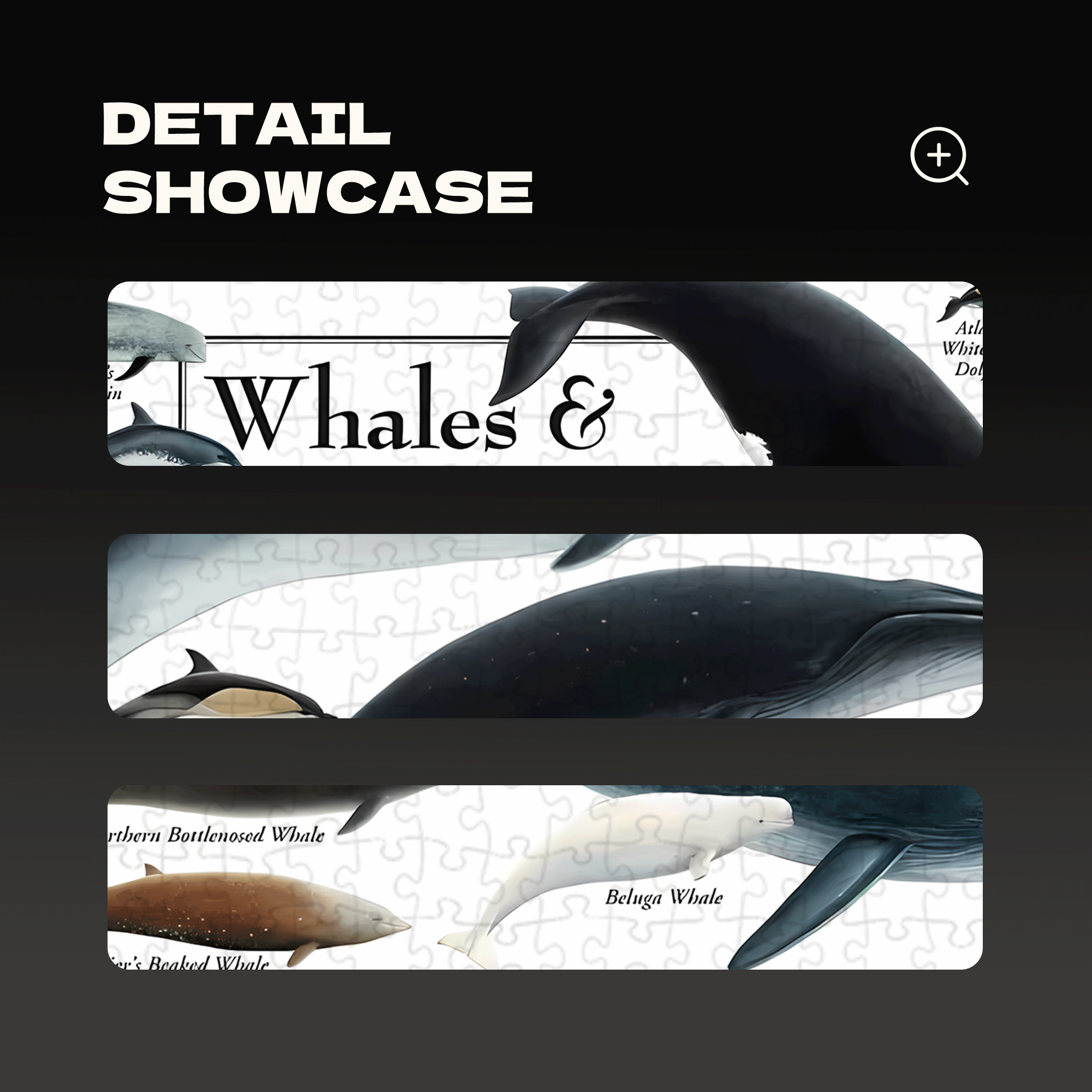 Whales & Dolphins of the North Atlantic 500pcs/1000pcs Jigsaw Puzzle, Scratch-Resistant, Interactive Family Game & Brain-Boosting DIY Decor, Perfect for Halloween, Christmas & New Year Gifts, Family Puzzle Game