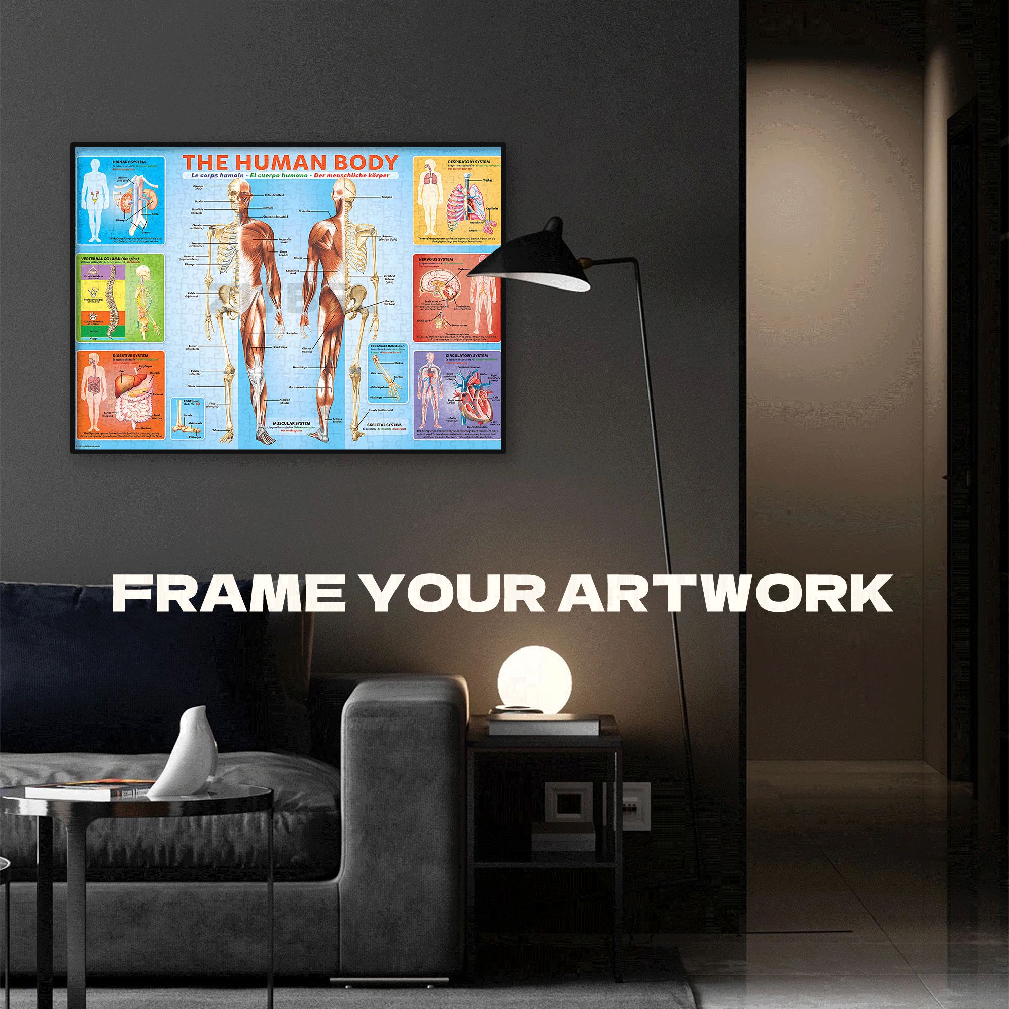 The Human Body Picture 500pcs/1000pcs Jigsaw Puzzle, Scratch-Resistant, Interactive Family Game & Brain-Boosting DIY Decor, Perfect for Halloween, Christmas & New Year Gifts, Family Puzzle Game