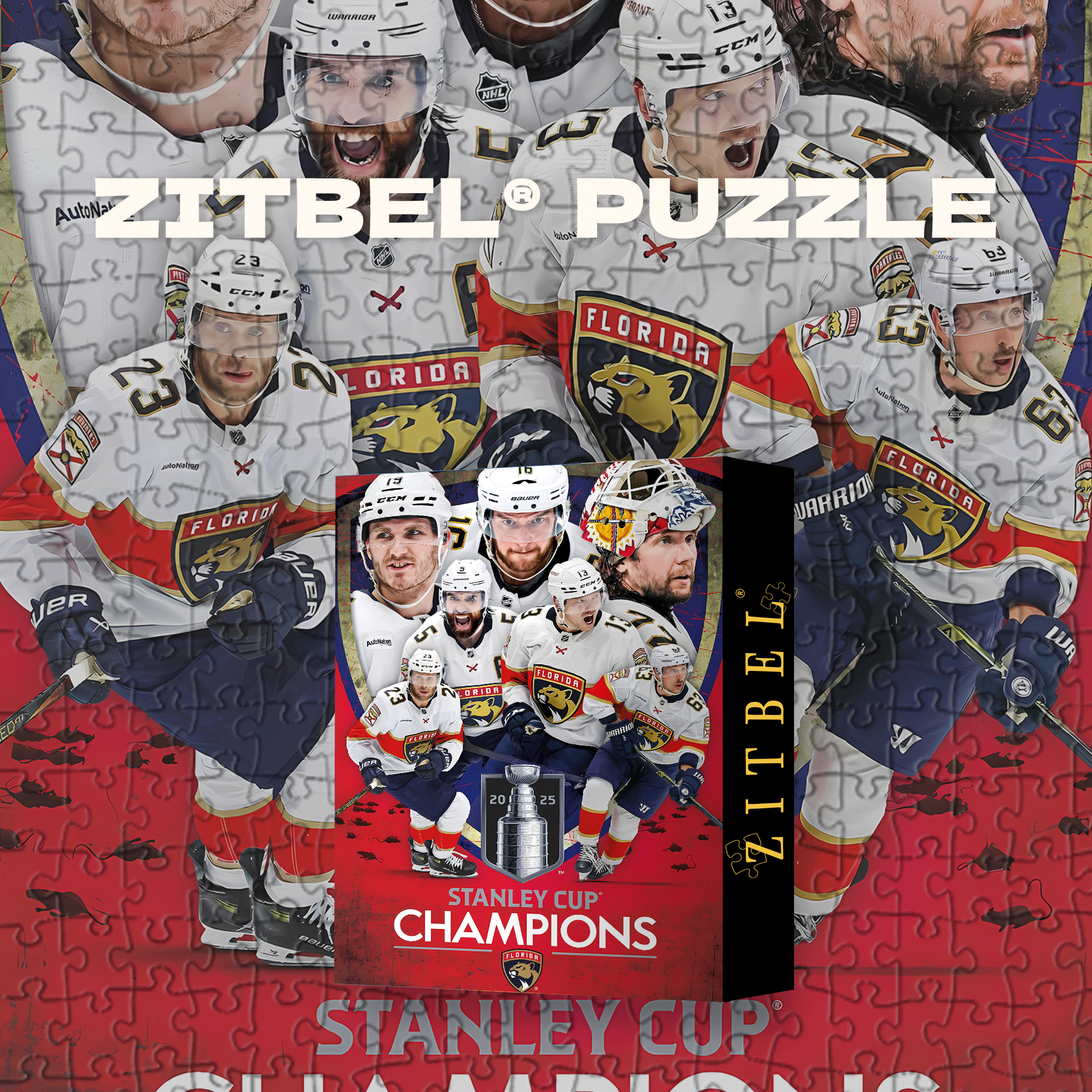 NHL Florida 500pcs/1000pcs Jigsaw Puzzle, Scratch-Resistant, Interactive Family Game & Brain-Boosting DIY Decor, Perfect for Halloween, Christmas & New Year Gifts, Family Puzzle Game