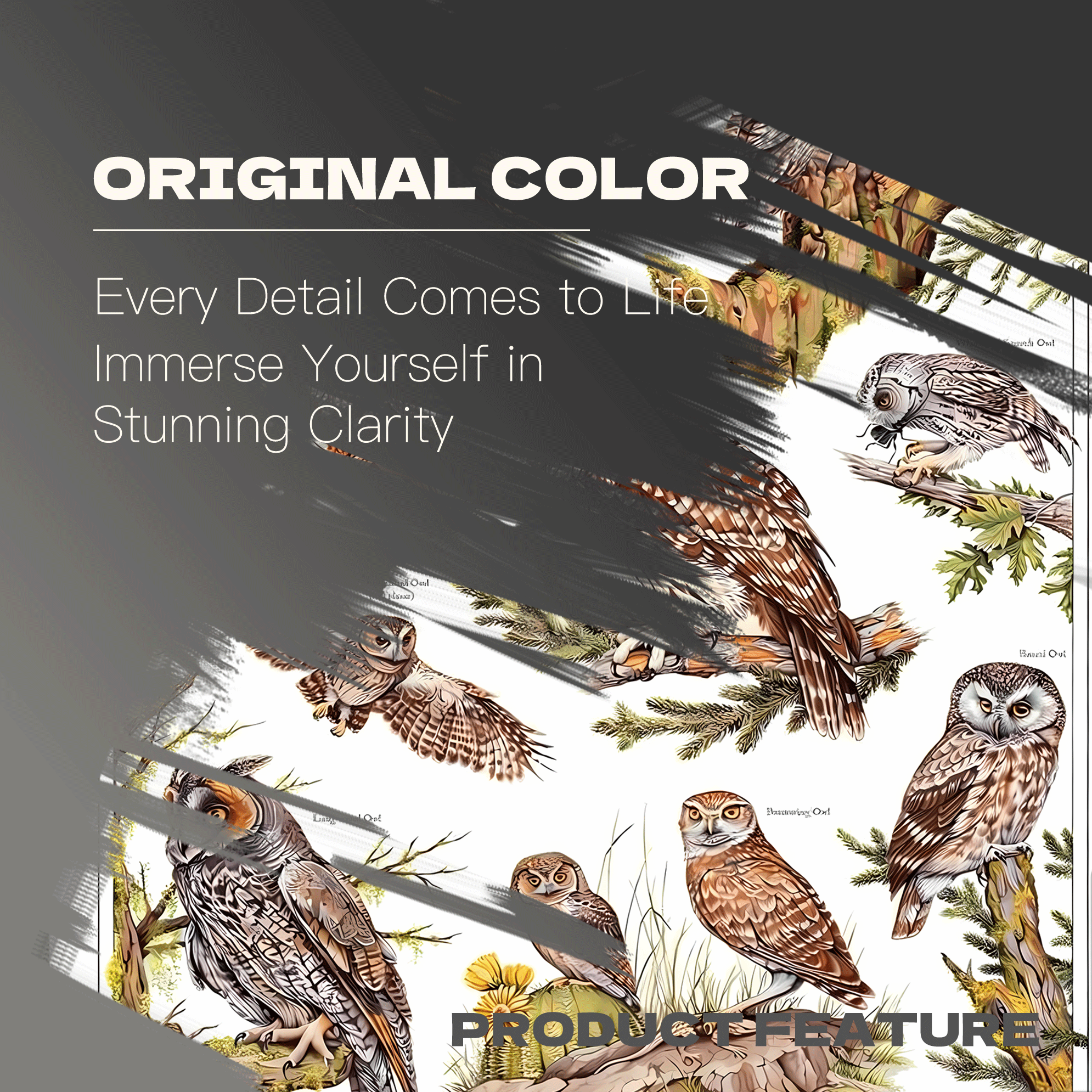 Illustrated Field Guide To Owls Of North America 500pcs/1000pcs Jigsaw Puzzle, Scratch-Resistant, Interactive Family Game & Brain-Boosting DIY Decor, Perfect for Halloween, Christmas & New Year Gifts, Family Puzzle Game