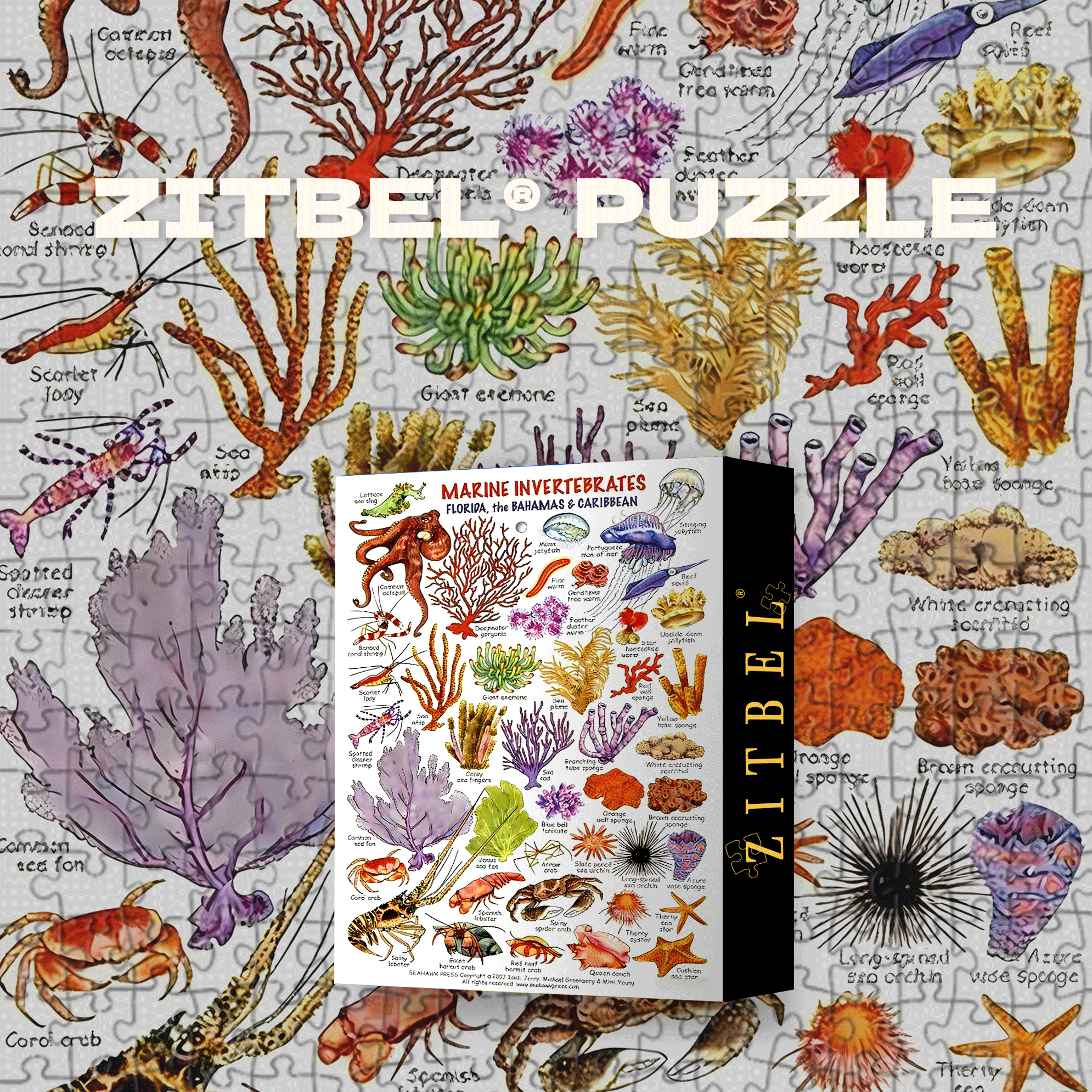 The Bahamas & Caribbean 500pcs/1000pcs Jigsaw Puzzle, Scratch-Resistant, Interactive Family Game & Brain-Boosting DIY Decor, Perfect for Halloween, Christmas & New Year Gifts, Family Puzzle Game
