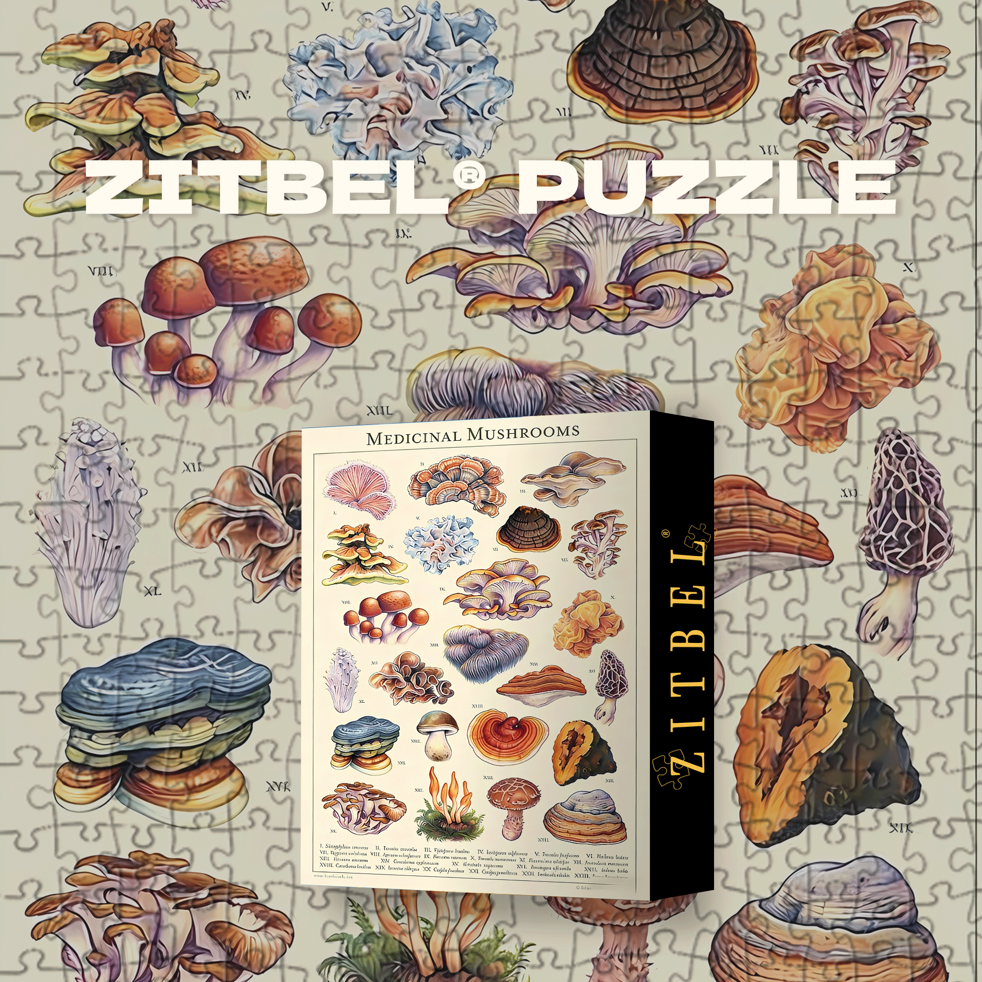 Medicinal Mushrooms 500pcs/1000pcs Jigsaw Puzzle, Scratch-Resistant, Interactive Family Game & Brain-Boosting DIY Decor, Perfect for Halloween, Christmas & New Year Gifts, Family Puzzle Game
