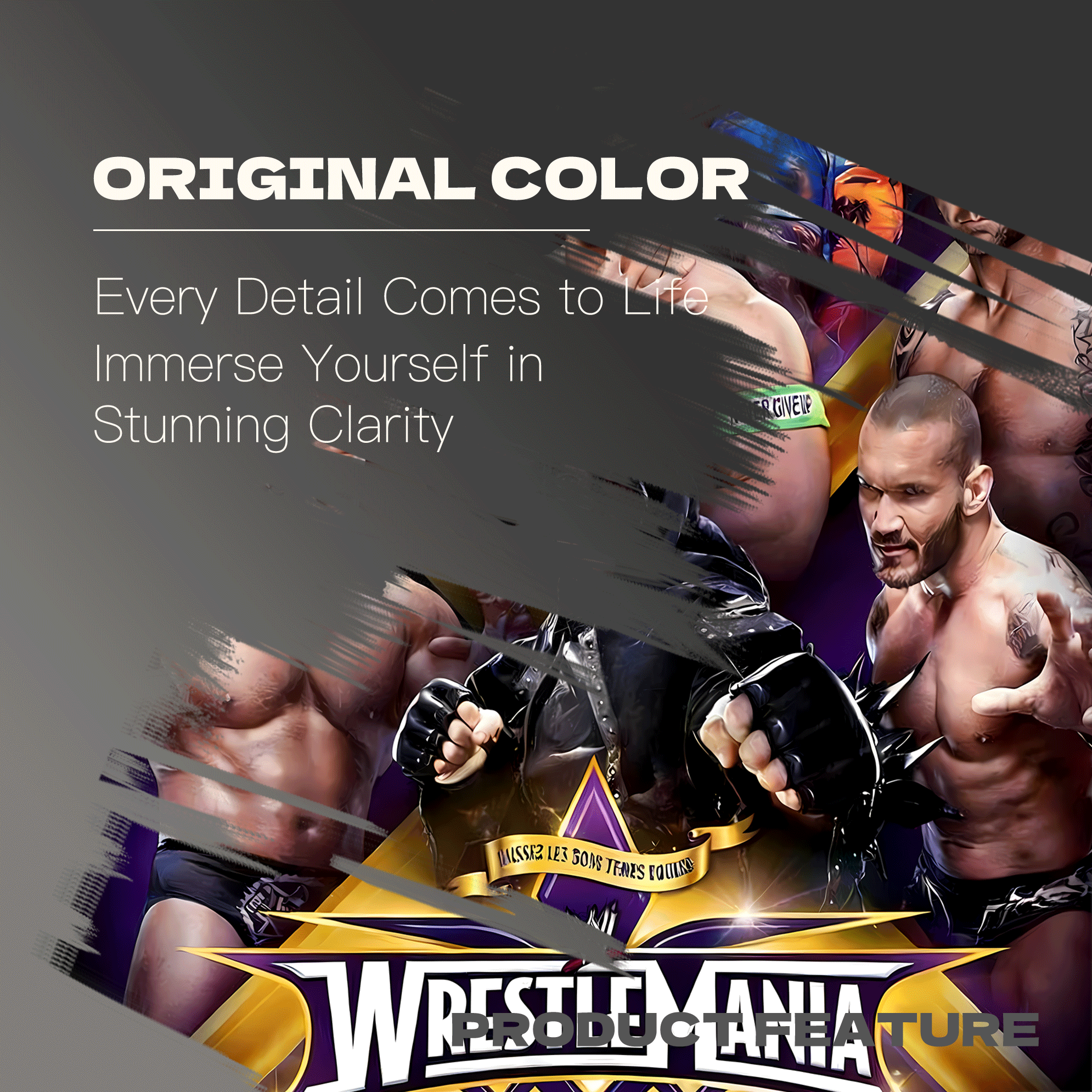 Wrestlemania 30 500pcs/1000pcs Jigsaw Puzzle, Scratch-Resistant, Interactive Family Game & Brain-Boosting DIY Decor, Perfect for Halloween, Christmas & New Year Gifts, Family Puzzle Game