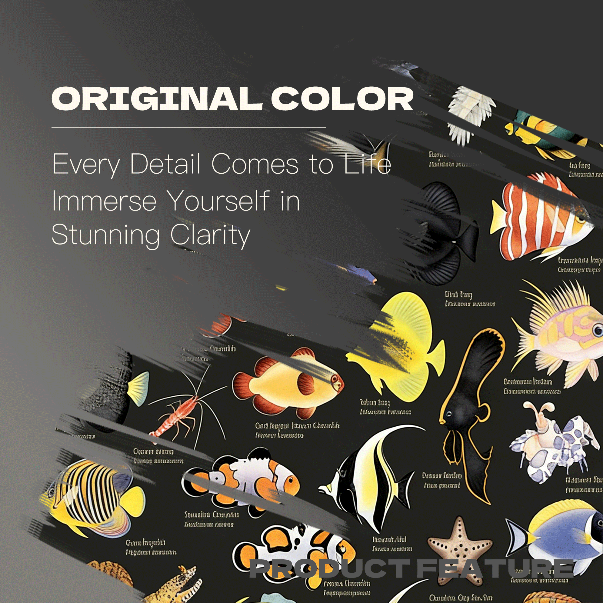 Coral Reef Marine Life Encyclopedia Chart 500pcs/1000pcs Jigsaw Puzzle, Scratch-Resistant, Interactive Family Game & Brain-Boosting DIY Decor, Perfect for Halloween, Christmas & New Year Gifts, Family Puzzle Game